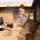 Village Kitchen, Langa Langa Village, Nasarawa State, Nigeria #JujuFilms